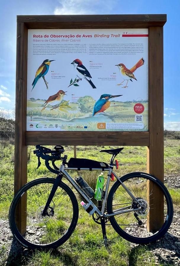 4Bs - Birds & Bicycles Apartment Castro Verde Bagian luar foto