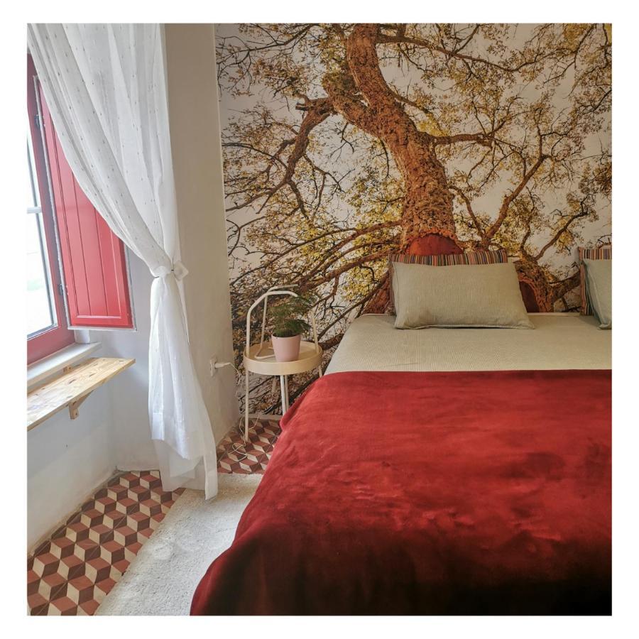 4Bs - Birds & Bicycles Apartment Castro Verde Bagian luar foto